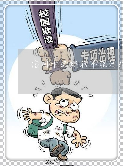 信用卡逾期能不能清掉/2023020618426